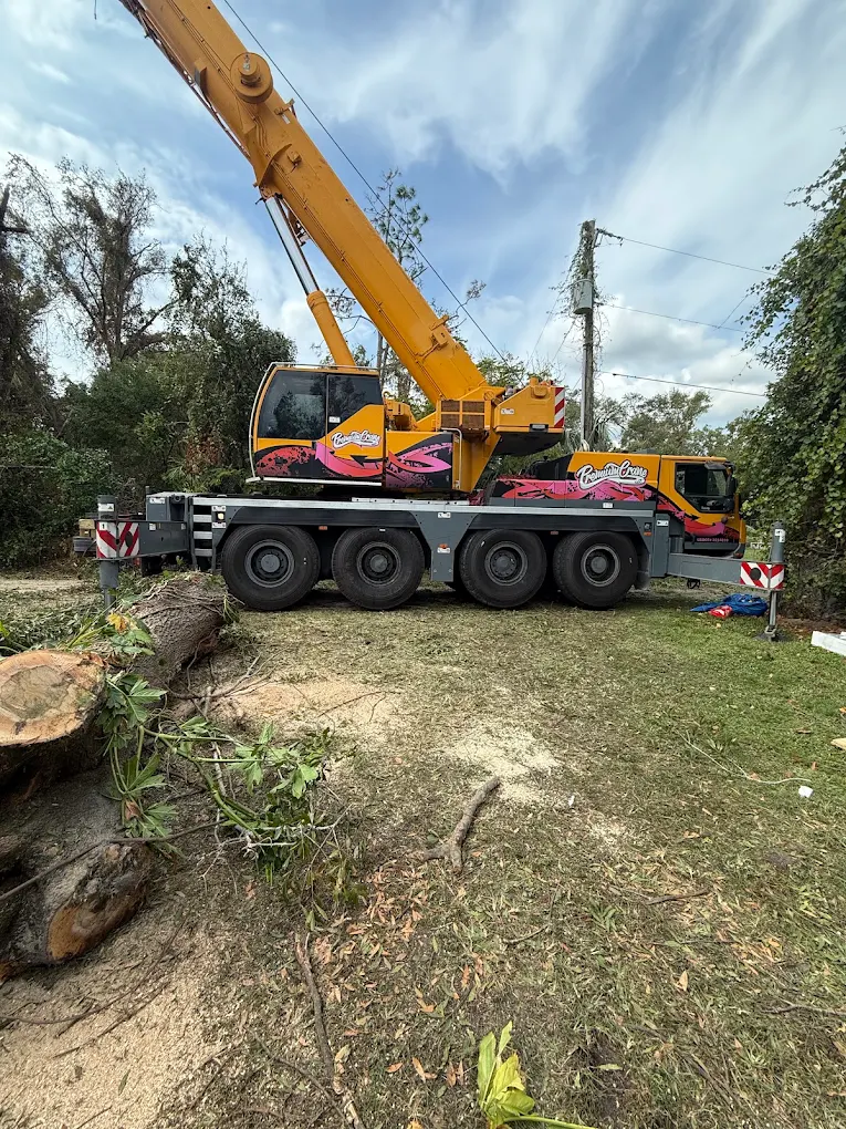 Tree Hunks — a job well done in Tampa Bay