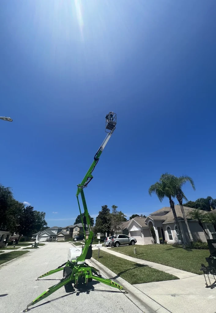 Tree Hunks — trimming work